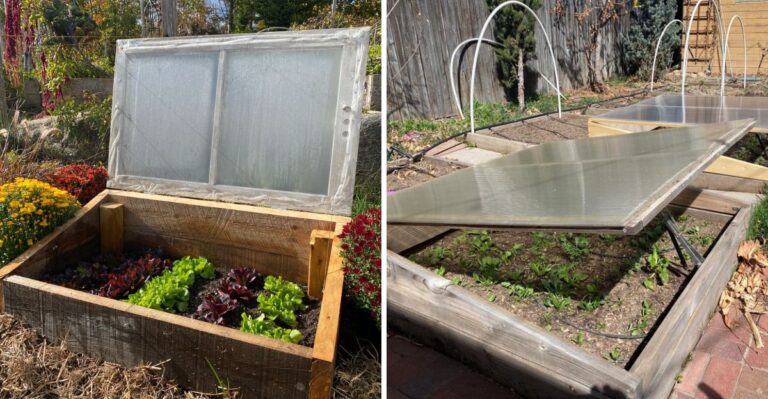 How To Build A Cold Frame Before Michigan’s First Snow Arrives