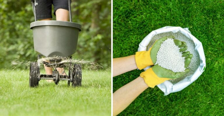 Is Winterizer Fertilizer Actually Worth It For Ohio Lawns?