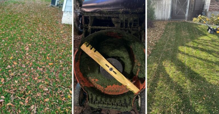 Can You Mow Over Leaves In Virginia? Here’s What Works