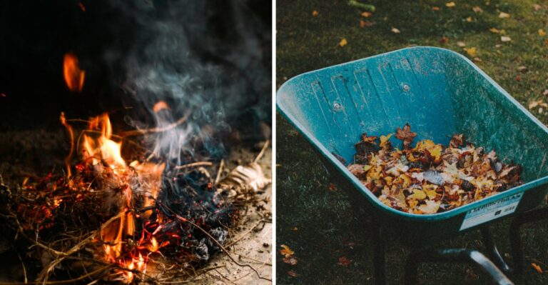 The 4 PM Burning Law Every Virginia Homeowner Should Know Before Yard Cleanup