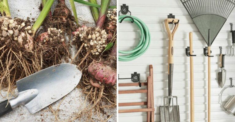 Protect Your Plants With These Garden Jobs Before The First Frost Arrives