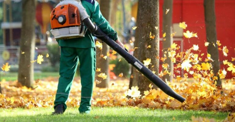 Could You Be Fined For Blowing Leaves Into The Street In Ohio