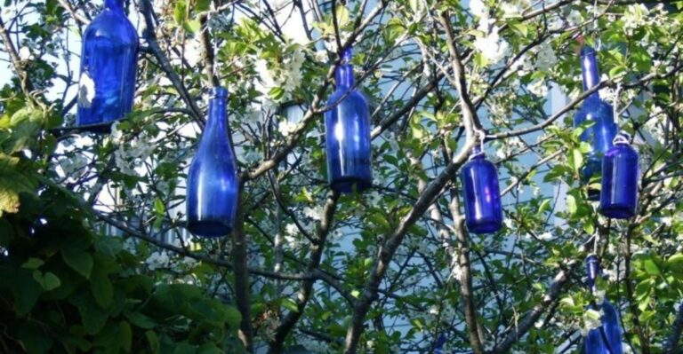 What It Means When You Spot Glass Bottles Hanging From A Tree In North Carolina