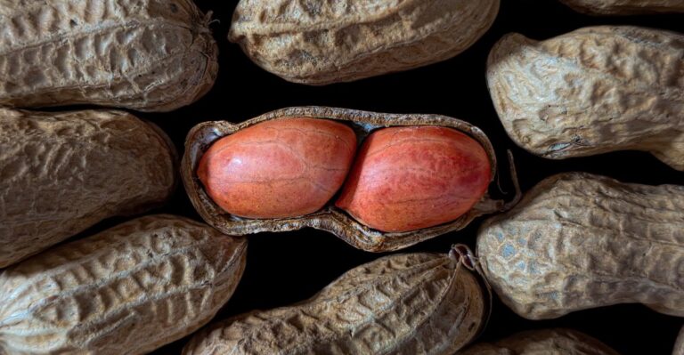 8 Ways To Cure Your Fresh-Dug Peanuts Before Storing Them For Winter In Louisiana