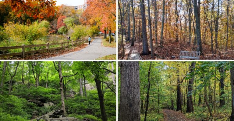 8 Hidden NYC Parks With Better Fall Color Than Central Park