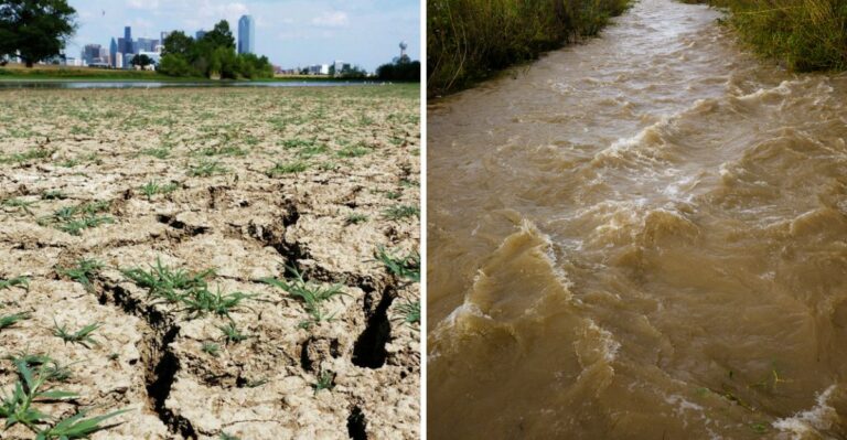 Why Heavy Rain Won’t Fix A North Texas Drought