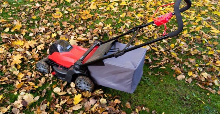 Mowing Over Fall Leaves Can Do More For Your Indiana Lawn Than Raking Them