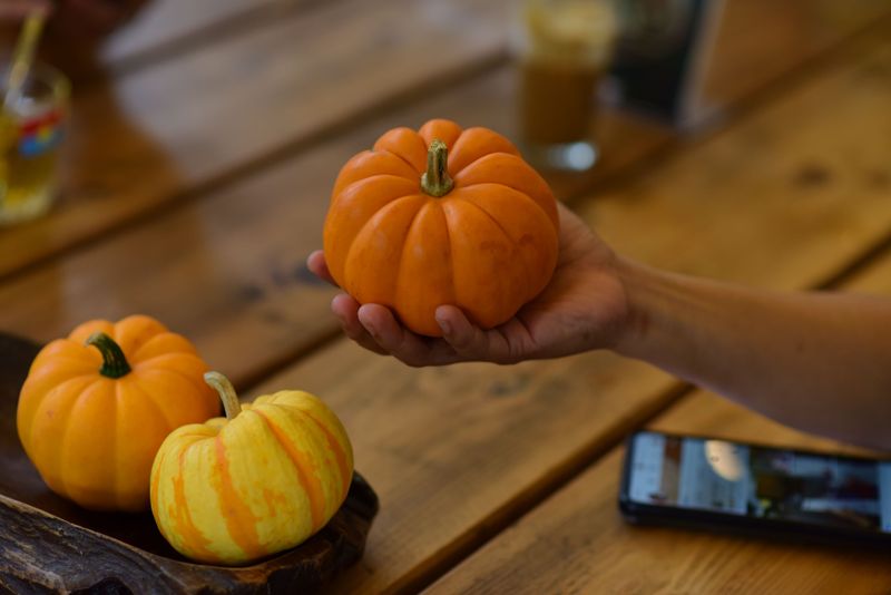 ‘Jack Be Little’ Mini Pumpkin